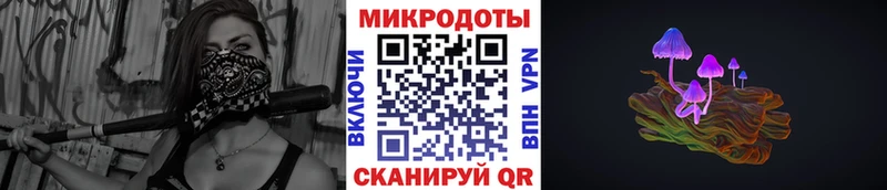 магазин наркотиков Домодедово Галлюциногенные грибы Psilocybe